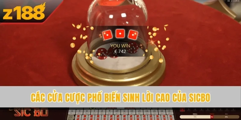 Các cửa cược phổ biến sinh lời cao của sicbo
