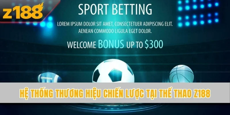 Hệ thống thương hiệu chiến lược tại thể thao Z188