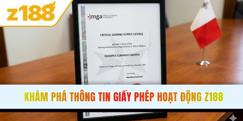 Khám phá thông tin giấy phép hoạt động Z188