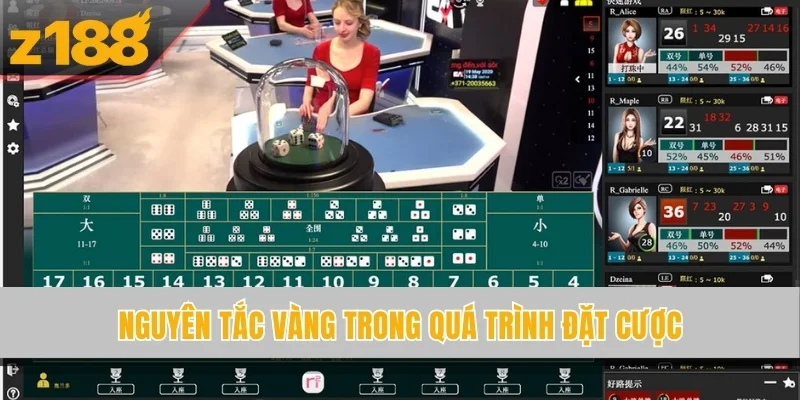 Nguyên tắc vàng trong quá trình đặt cược