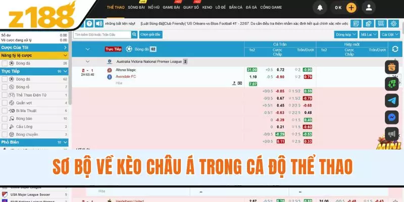 Sơ bộ về kèo châu Á trong cá độ thể thao